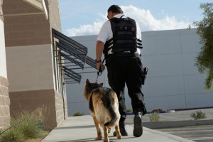 Como-ha-evolucionado-la-seguridad-privada